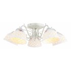 Потолочная люстра Arte Lamp A6616PL-5WG Wicker