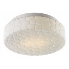 Настенно-потолочный светильник Arte Lamp A5330PL-2WH AQUA