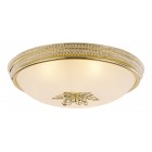 Настенно-потолочный светильник Arte Lamp A9205PL-5GO VASSOIO