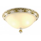 Настенно-потолочный светильник Arte Lamp A9570PL-2WG BENESSERE