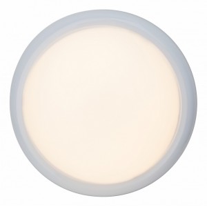Накладной светильник Brilliant G94151/05 Vigor