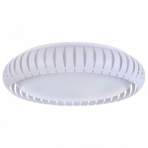 Накладной светильник Freya FR6159-CL-24W-W Assanta