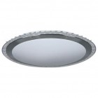 Накладной светильник Freya FR6441-CL-30-W Glory