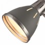 Настольная лампа Freya FR5151-TL-01-GR Nina