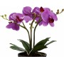 Растения в горшке Globo 28003 FlowerPower