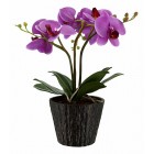 Растения в горшке Globo 28003 FlowerPower