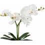 Растения в горшке Globo 28002 FlowerPower