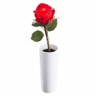 Растение в горшке Globo 28025 Orphelia