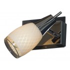 Спот Lussole LSX-4801-01 Carlino