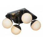 Спот Lussole LSX-4901-04 Rapallo