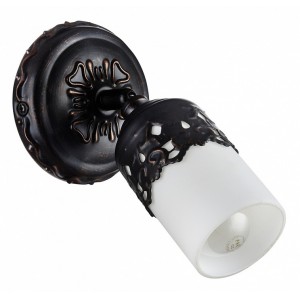 Спот Maytoni ECO562-01-R Renda