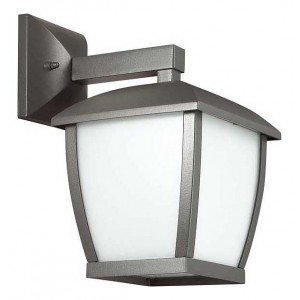 Светильник Odeon Light 4051/1W Tako