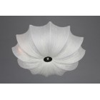 Накладной светильник Omnilux OML-41907-06