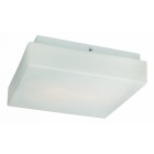 Накладной светильник ST-Luce SL503.502.02 Bango