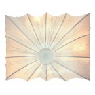 Накладной светильник ST-Luce SL356.551.03 Tela